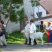 2012 &raquo; 120716Burgoeschfest