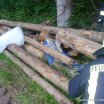 2016 &raquo; 160711UebungWald