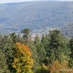 IMG_0871